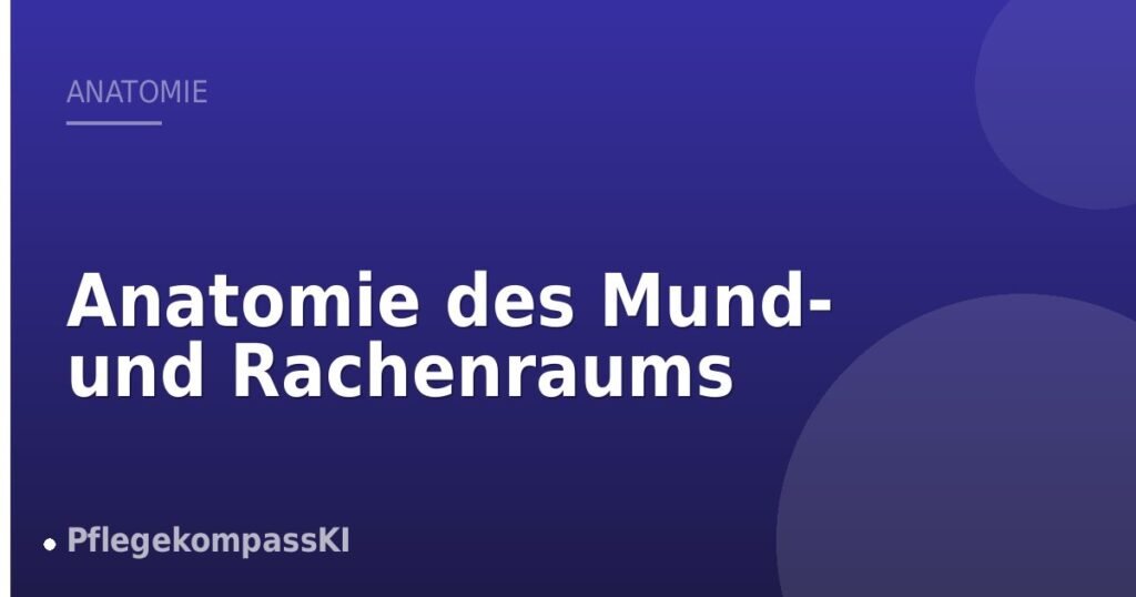 Anatomie des Mund- und Rachenraums